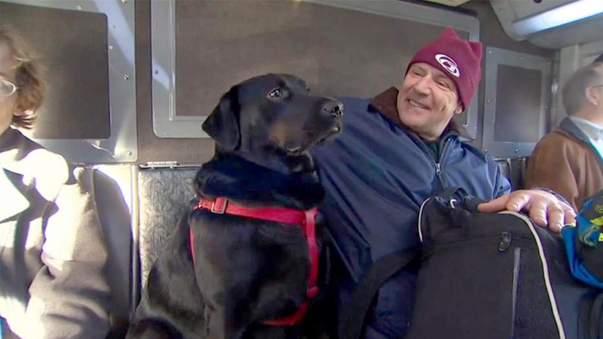 Ova kujica je postala popularna zbog neobičnog načina na koji ide u park